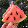 静海吃瓜的网红叫什么来着,揭秘网络红人的魅力与影响力